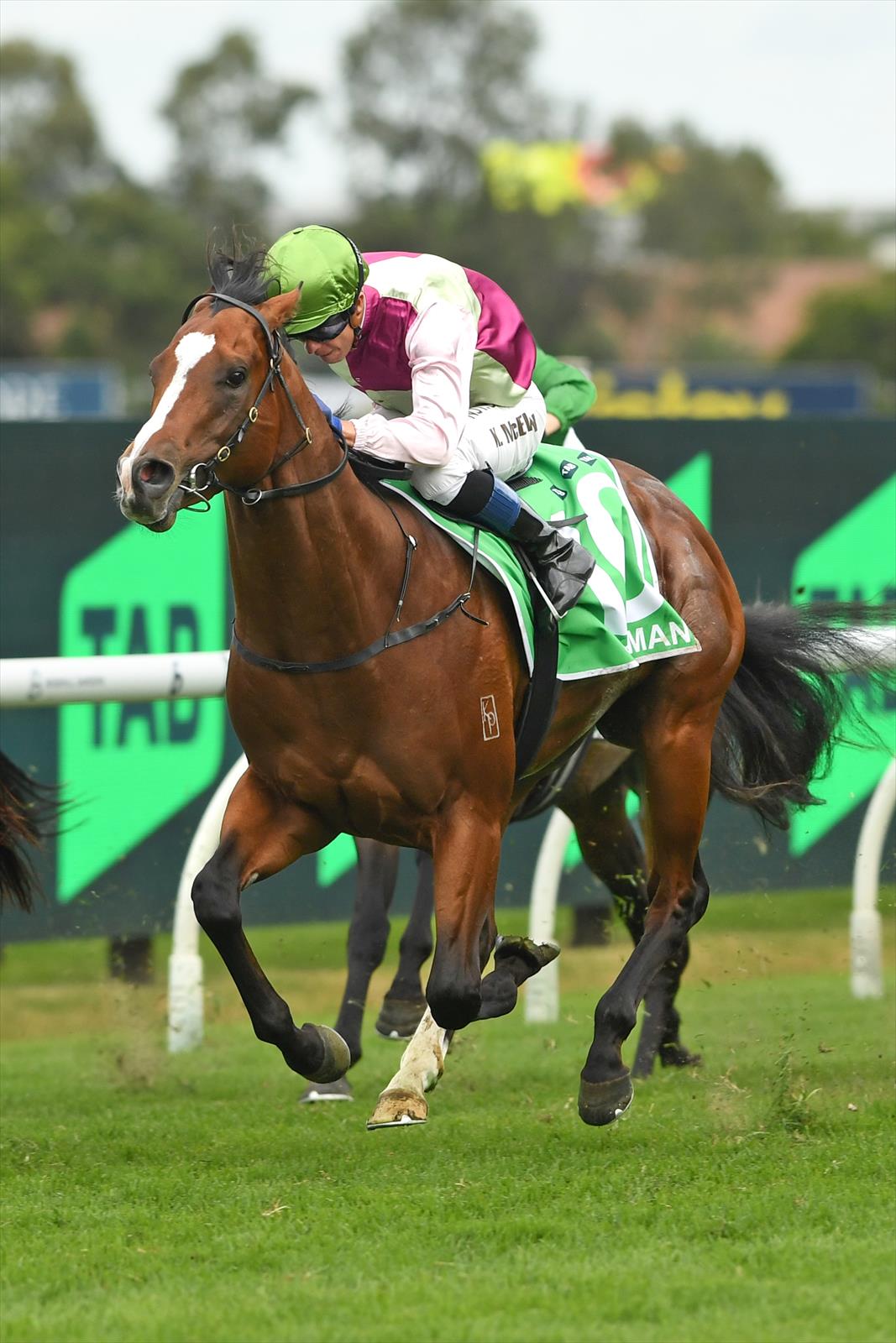 Coleman & Kerrin McEvoy, 2nd Golden Slipper